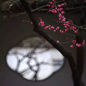 微信圖片_20220709115110.png